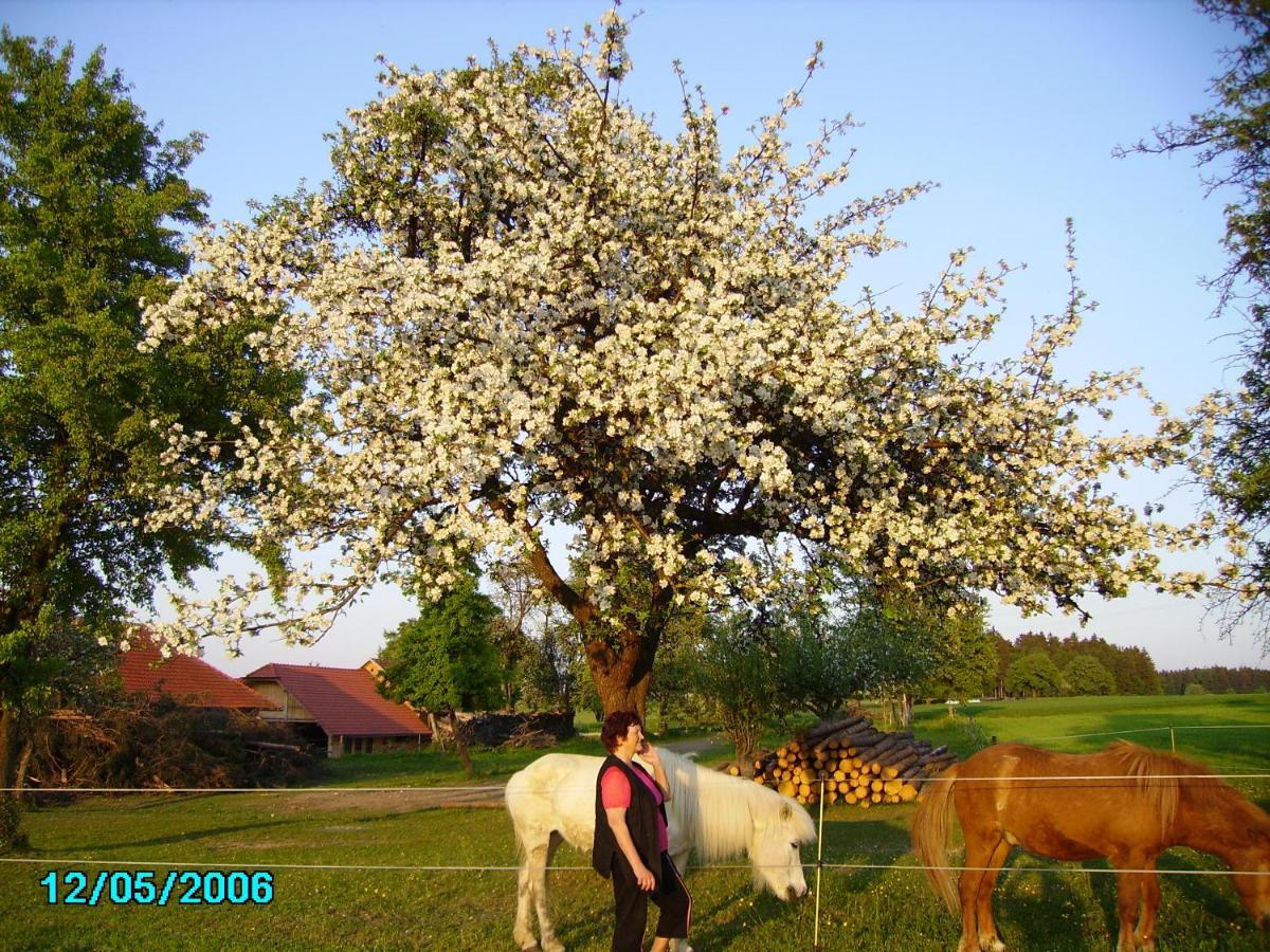 Gestehof Hetzenberg Haag Εξωτερικό φωτογραφία